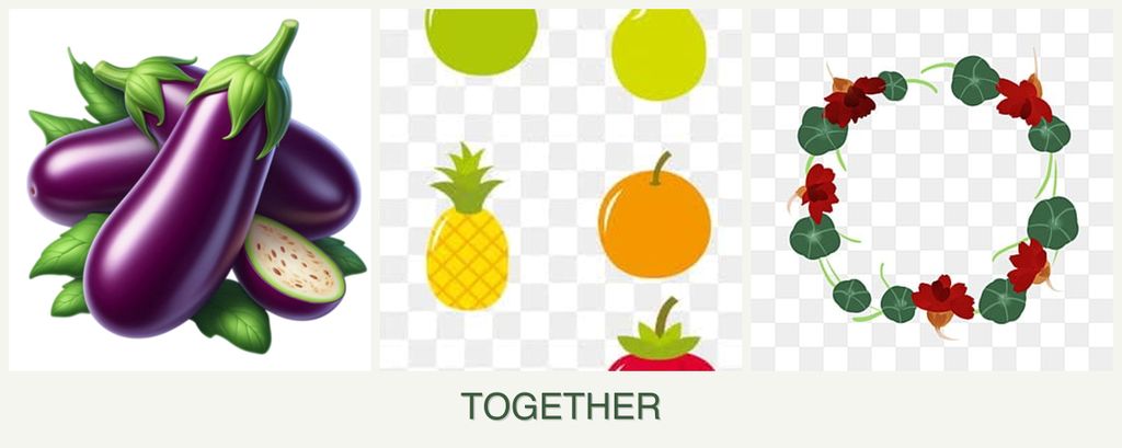 Can you plant eggplant, pears and nasturtiums together?