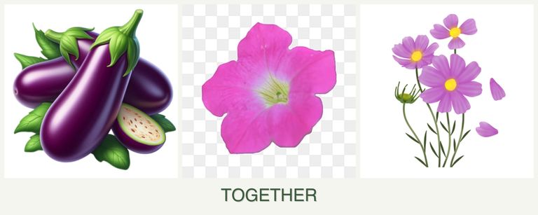 Can you plant eggplant, petunias and cosmos together?