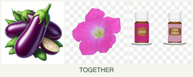 Can you plant eggplant, petunias and geraniums together?