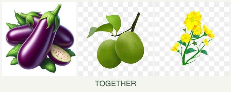 Can you plant eggplant, plums and calendula together?