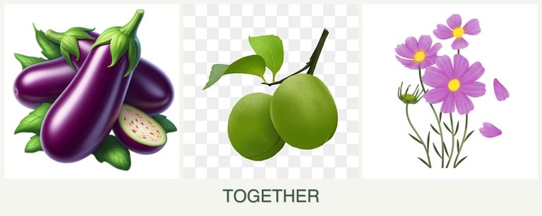 Can you plant eggplant, plums and cosmos together?