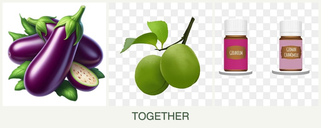 Can you plant eggplant, plums and geraniums together?
