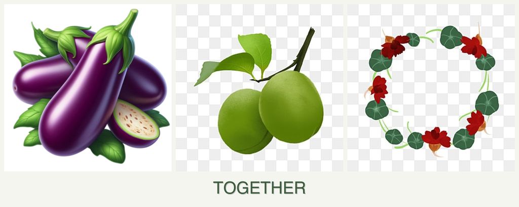 Can you plant eggplant, plums and nasturtiums together?