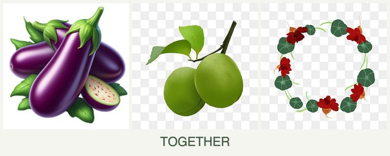 Can you plant eggplant, plums and nasturtiums together?