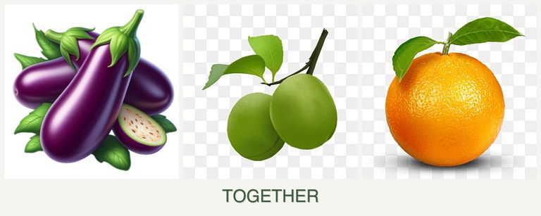 Can you plant eggplant, plums and oranges together?