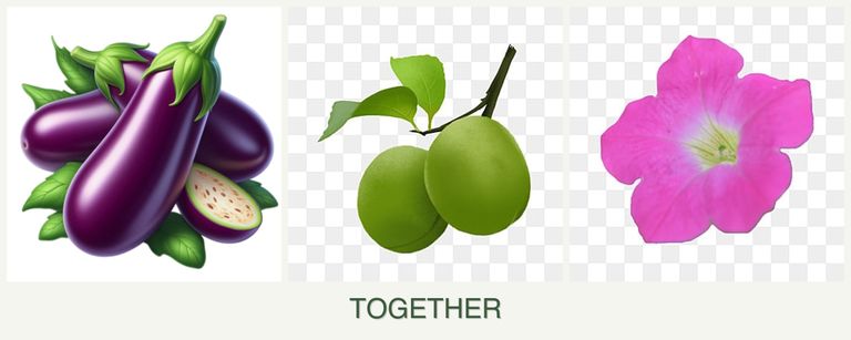 Can you plant eggplant, plums and petunias together?
