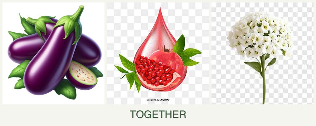 Can you plant eggplant, pomegranates and alyssum together?