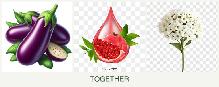 Can you plant eggplant, pomegranates and alyssum together?