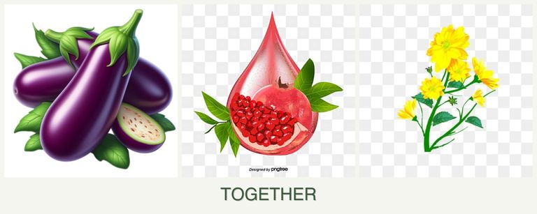 Can you plant eggplant, pomegranates and calendula together?