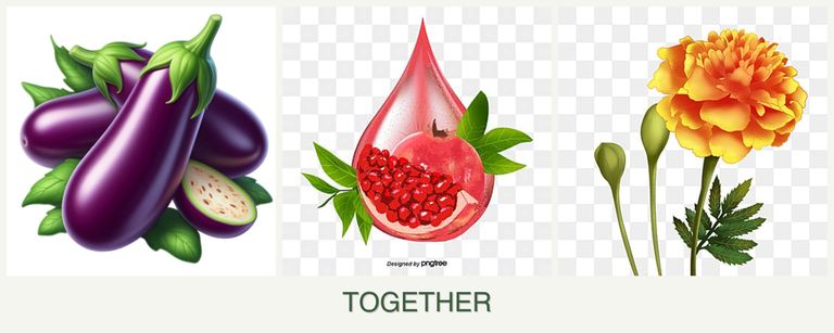 Can you plant eggplant, pomegranates and marigolds together?