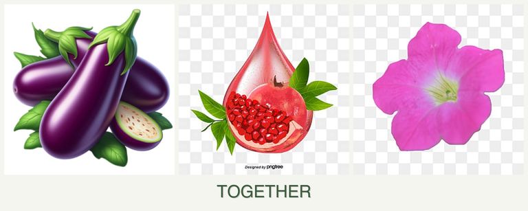 Can you plant eggplant, pomegranates and petunias together?