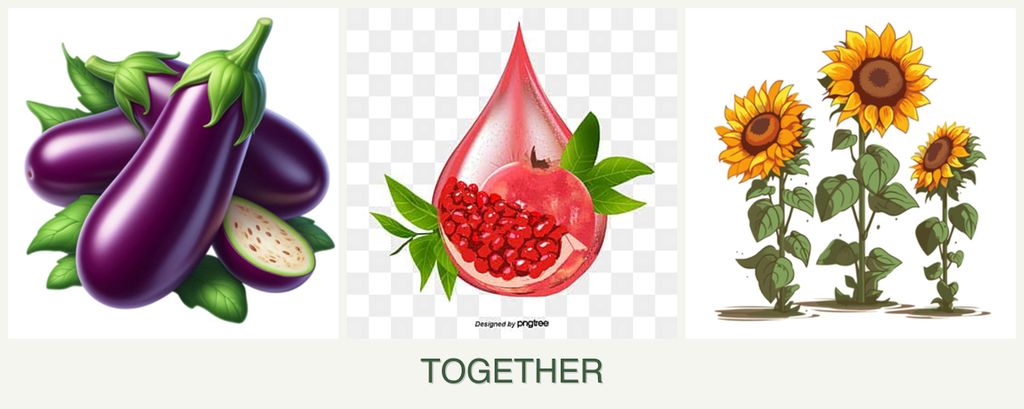 Can you plant eggplant, pomegranates and sunflowers together?
