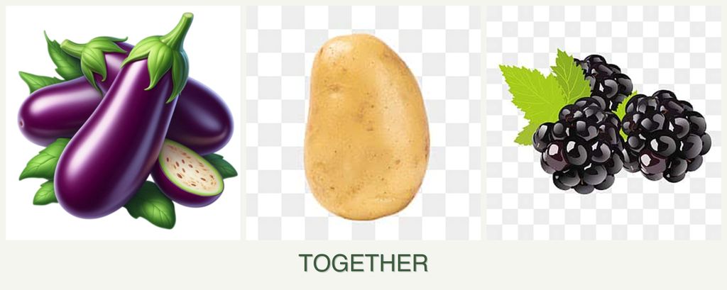 Can you plant eggplant, potatoes and blackberries together?