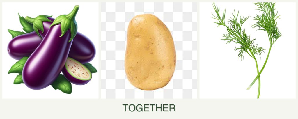 Can you plant eggplant, potatoes and dill together?