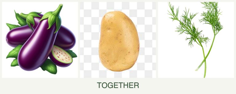 Can you plant eggplant, potatoes and dill together?