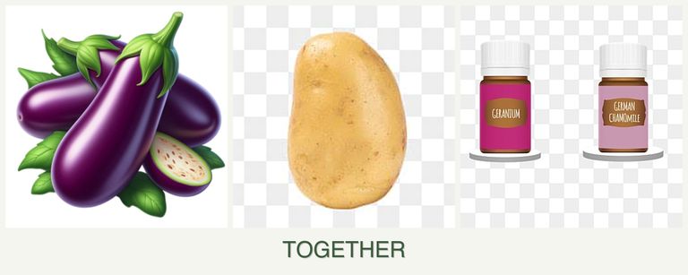 Can you plant eggplant, potatoes and geraniums together?