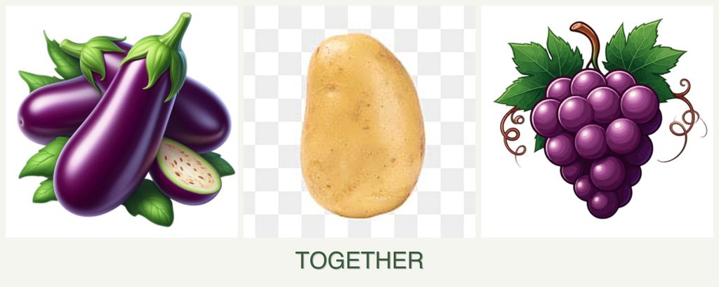 Can you plant eggplant, potatoes and grapes together?