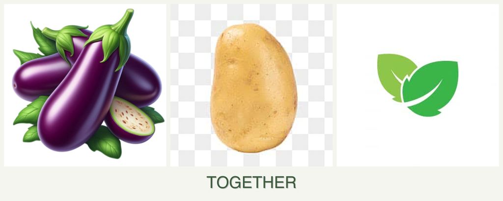 Can you plant eggplant, potatoes and mint together?