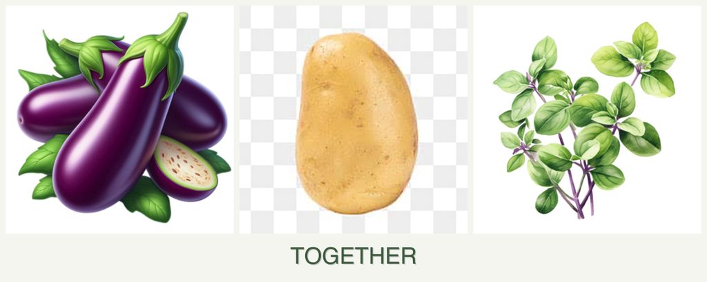 Can you plant eggplant, potatoes and oregano together?