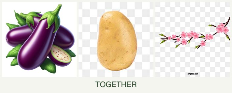 Can you plant eggplant, potatoes and peaches together?