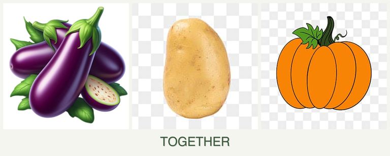 Can you plant eggplant, potatoes and pumpkin together?