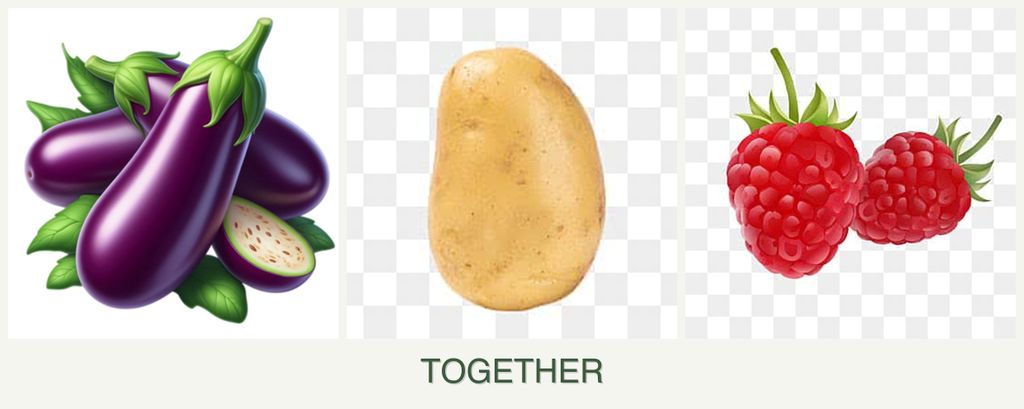 Can you plant eggplant, potatoes and raspberries together?