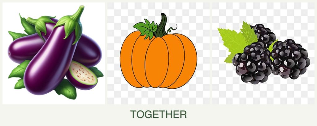Can you plant eggplant, pumpkin and blackberries together?