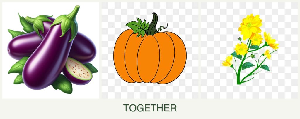 Can you plant eggplant, pumpkin and calendula together?