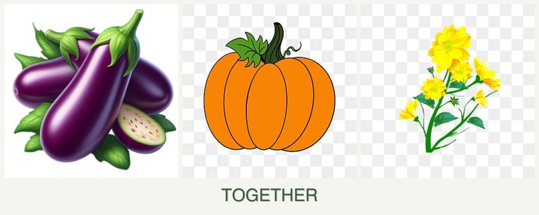 Can you plant eggplant, pumpkin and calendula together?