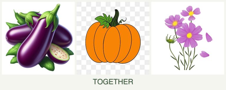 Can you plant eggplant, pumpkin and cosmos together?