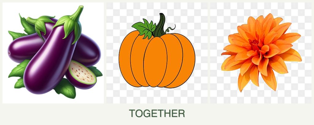 Can you plant eggplant, pumpkin and dahlias together?