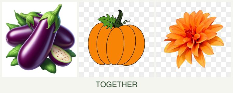 Can you plant eggplant, pumpkin and dahlias together?