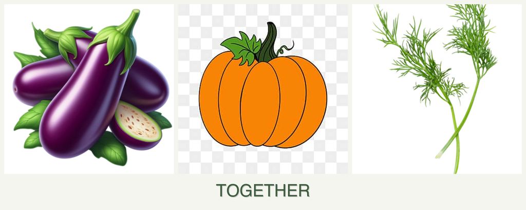 Can you plant eggplant, pumpkin and dill together?