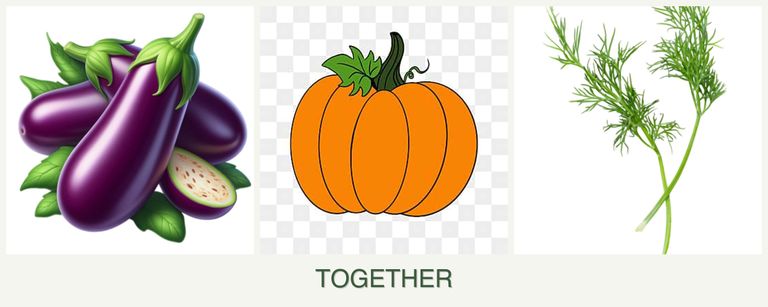 Can you plant eggplant, pumpkin and dill together?
