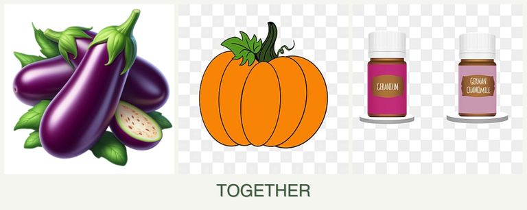 Can you plant eggplant, pumpkin and geraniums together?