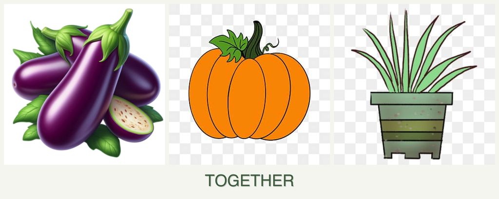 Can you plant eggplant, pumpkin and lemongrass together?