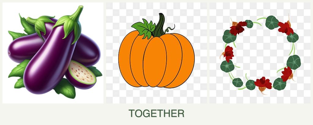 Can you plant eggplant, pumpkin and nasturtiums together?