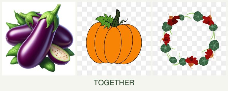 Can you plant eggplant, pumpkin and nasturtiums together?