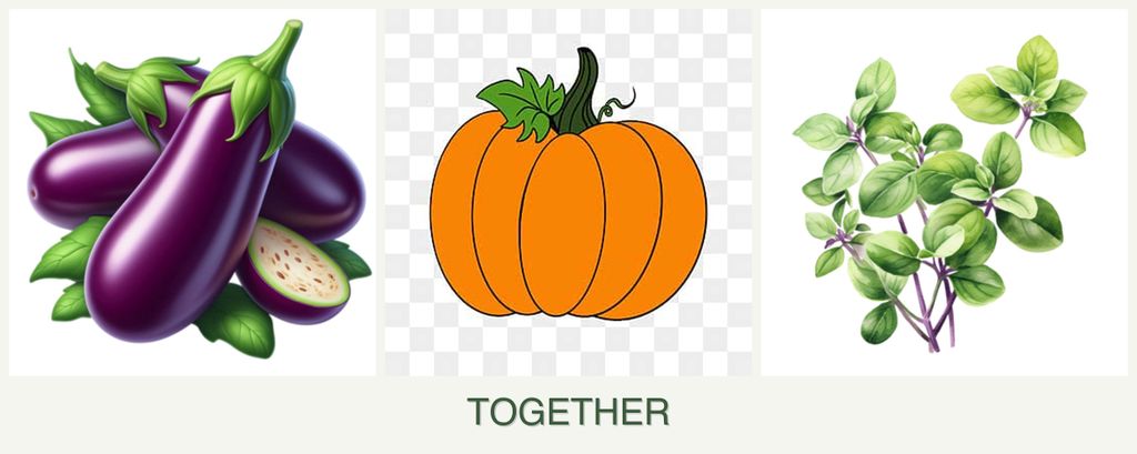 Can you plant eggplant, pumpkin and oregano together?