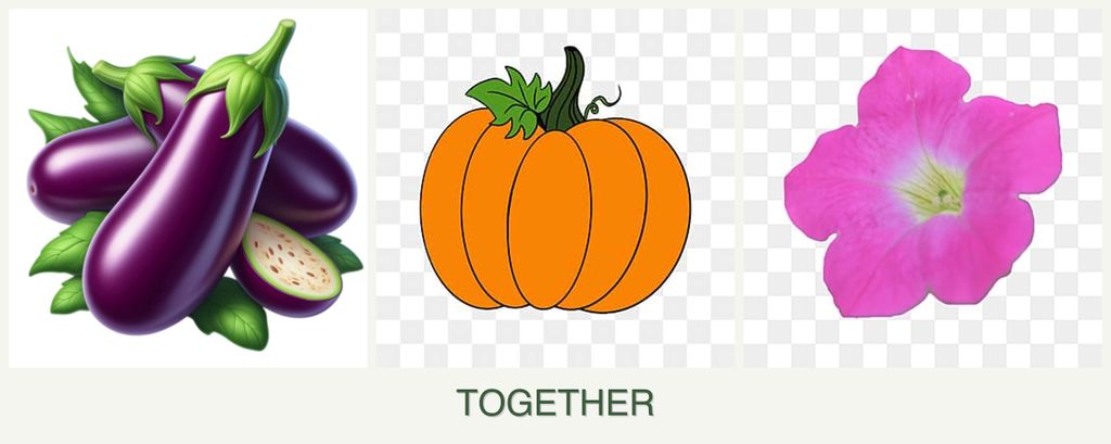 Can you plant eggplant, pumpkin and petunias together?