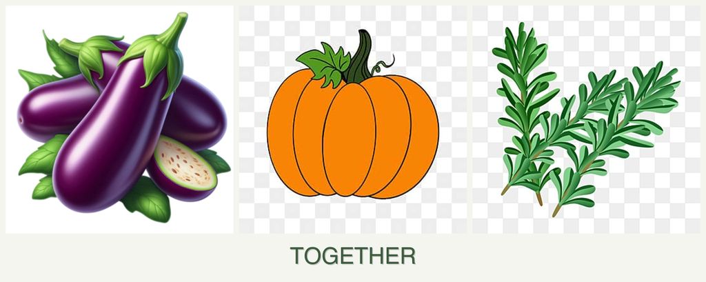 Can you plant eggplant, pumpkin and rosemary together?