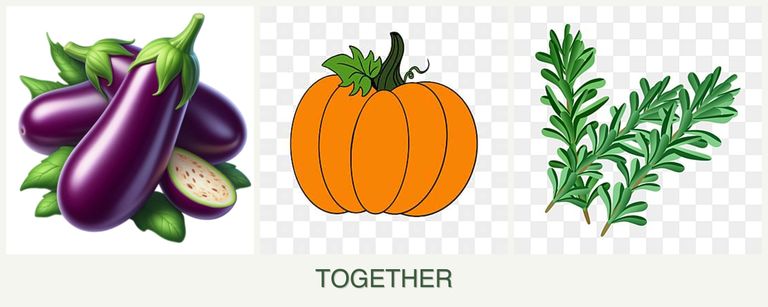 Can you plant eggplant, pumpkin and rosemary together?