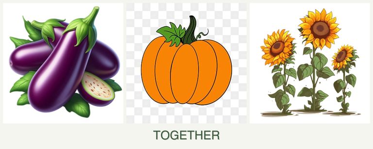 Can you plant eggplant, pumpkin and sunflowers together?