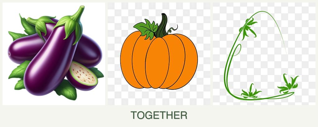 Can you plant eggplant, pumpkin and tarragon together?