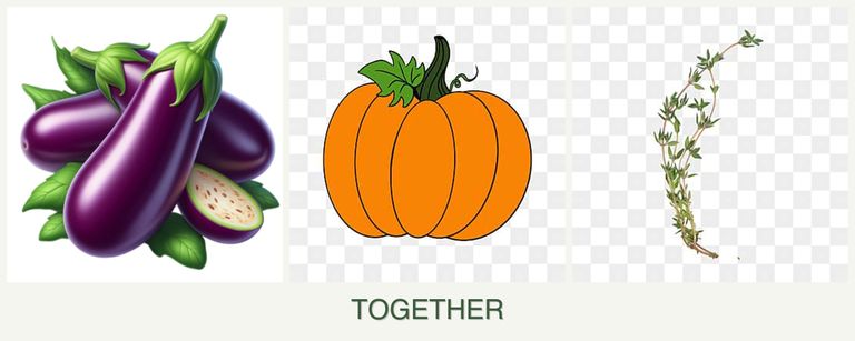 Can you plant eggplant, pumpkin and thyme together?