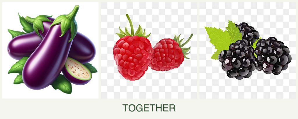 Can you plant eggplant, raspberries and blackberries together?