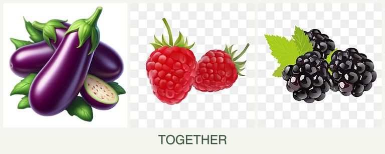 Can you plant eggplant, raspberries and blackberries together?