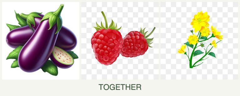 Can you plant eggplant, raspberries and calendula together?