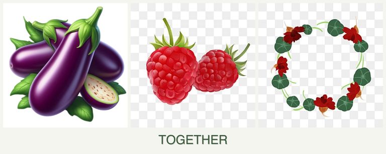 Can you plant eggplant, raspberries and nasturtiums together?