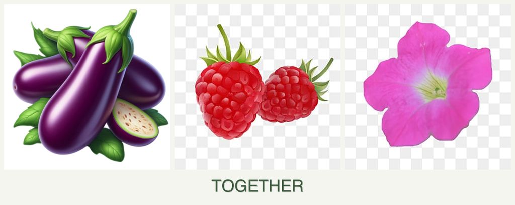 Can you plant eggplant, raspberries and petunias together?